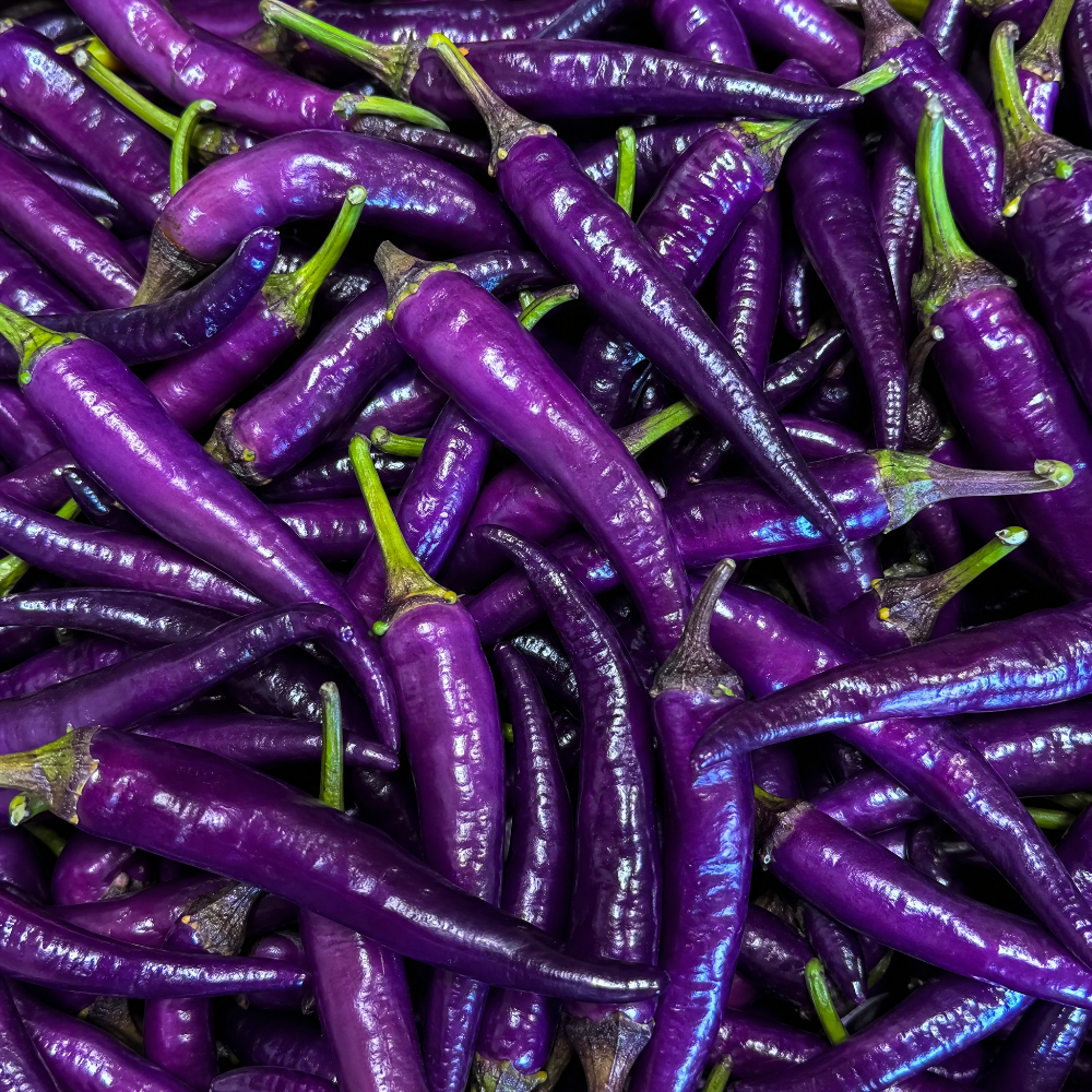 FRISCHE DIAVOLETTO 100G