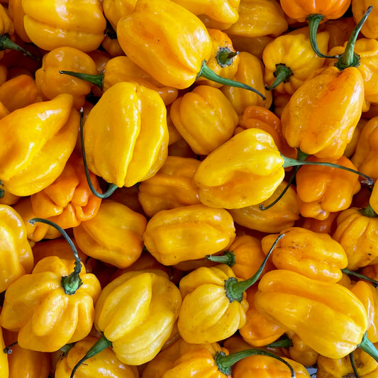 Habanero Amarillo Fresco, 200g
