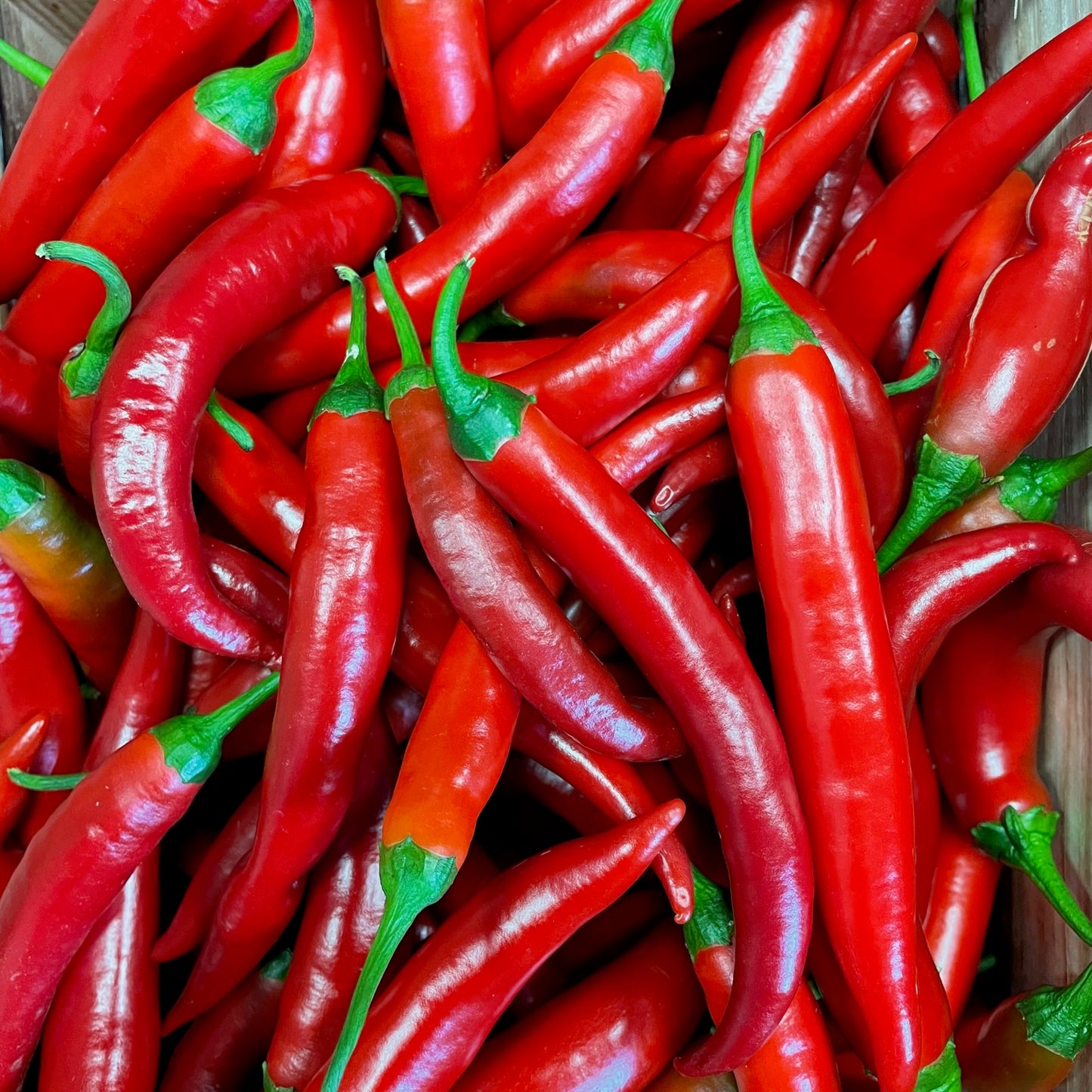 Cayena Roja Fresca, 200g