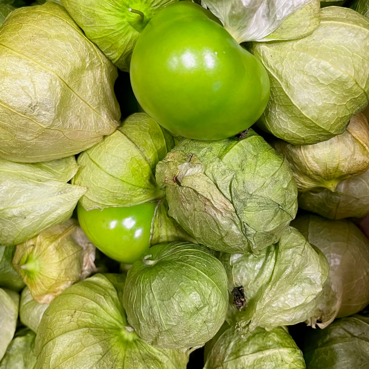 Frische Tomatillos, 200g