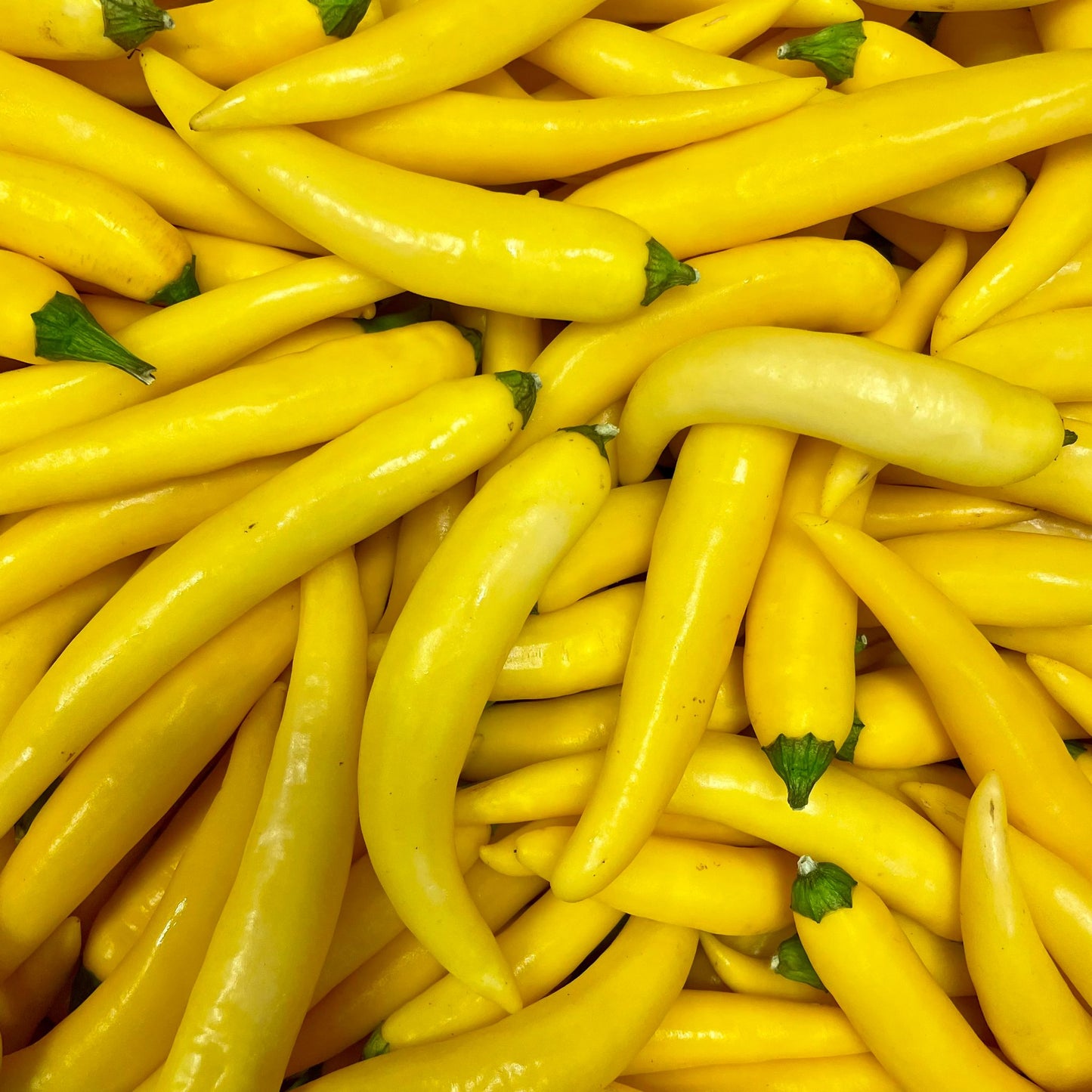 FRISCHE CAYENNE GELB 200G