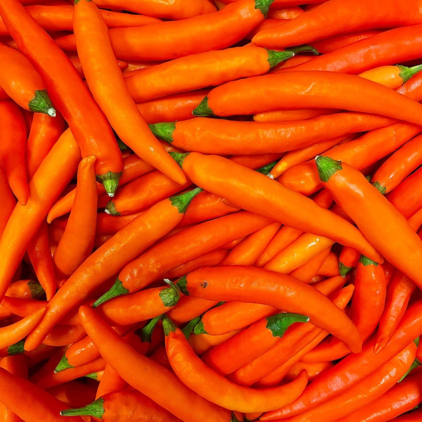 Cayena Roja Fresca, 200g