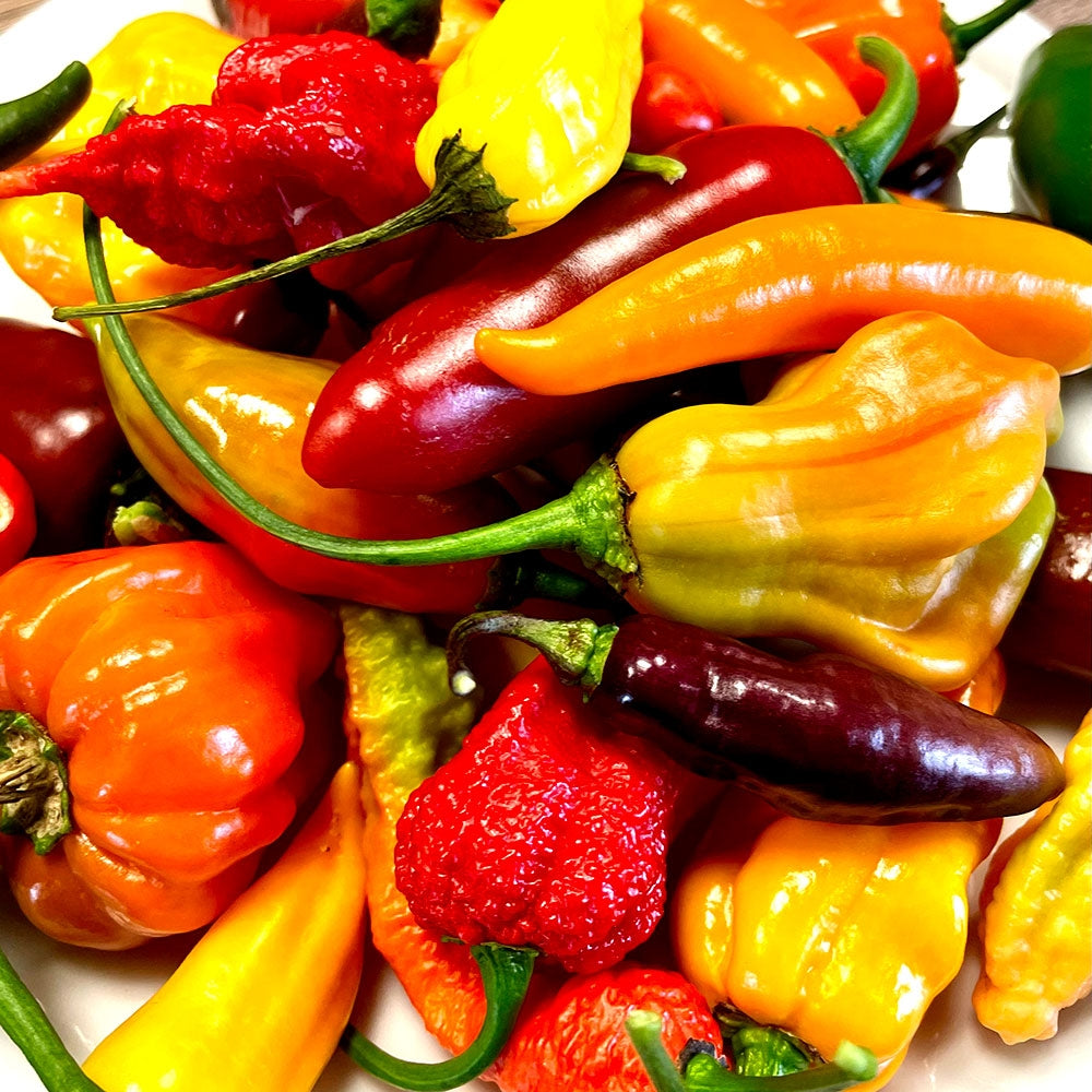 Fresh chili show garden mix, 200g