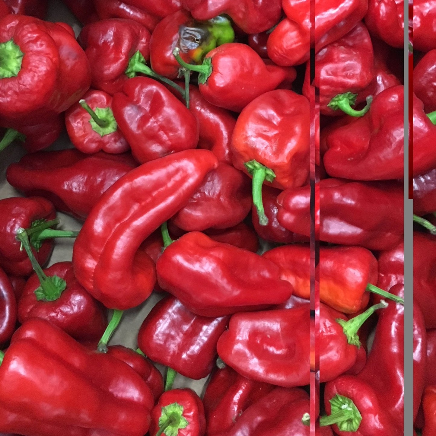 Cayena Roja Fresca, 200g