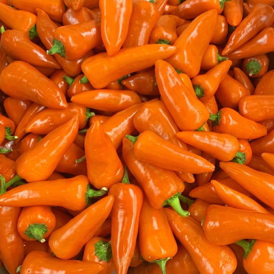 FRISCHE FRESNO ORANGE 200G