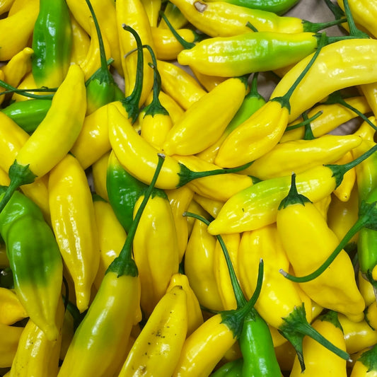 Fresh Lemon Drop Chili, 100g