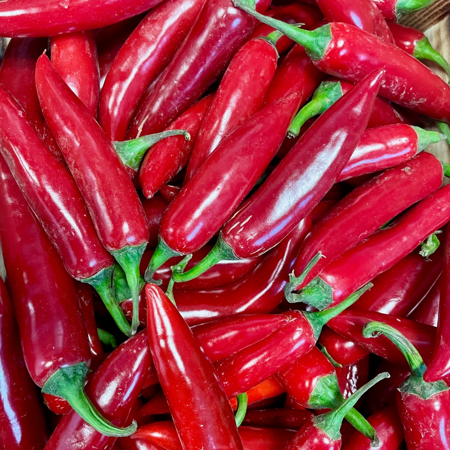 Frische Serrano Rot, 200g