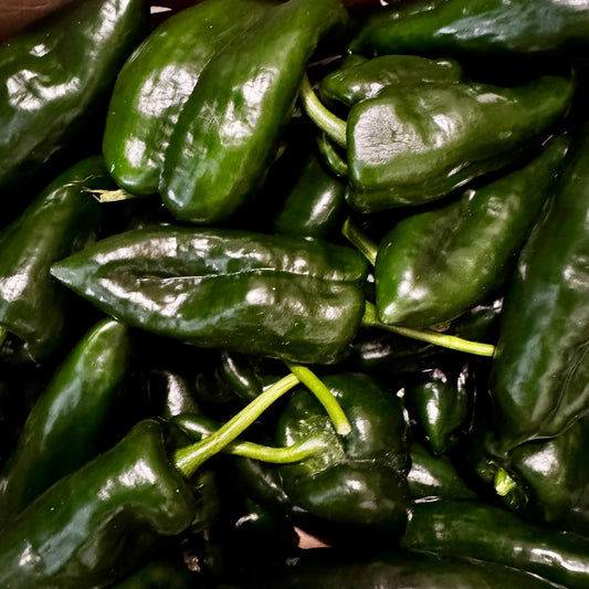 Frische Poblano, 200g