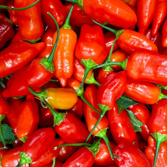 Fresh Lemon Drop Chili, 100g