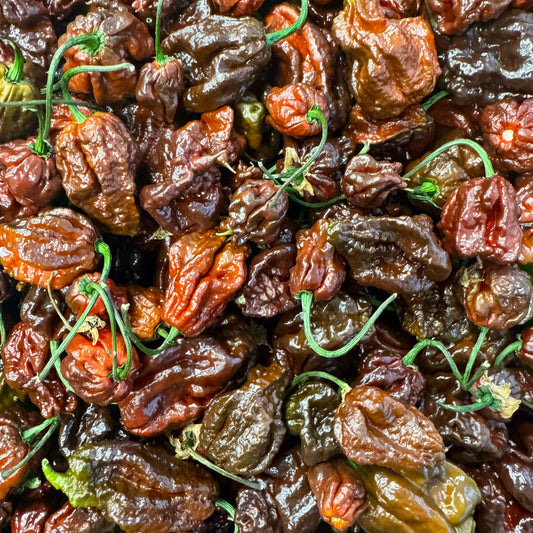 Frische Carolina Reaper Choco, 50g