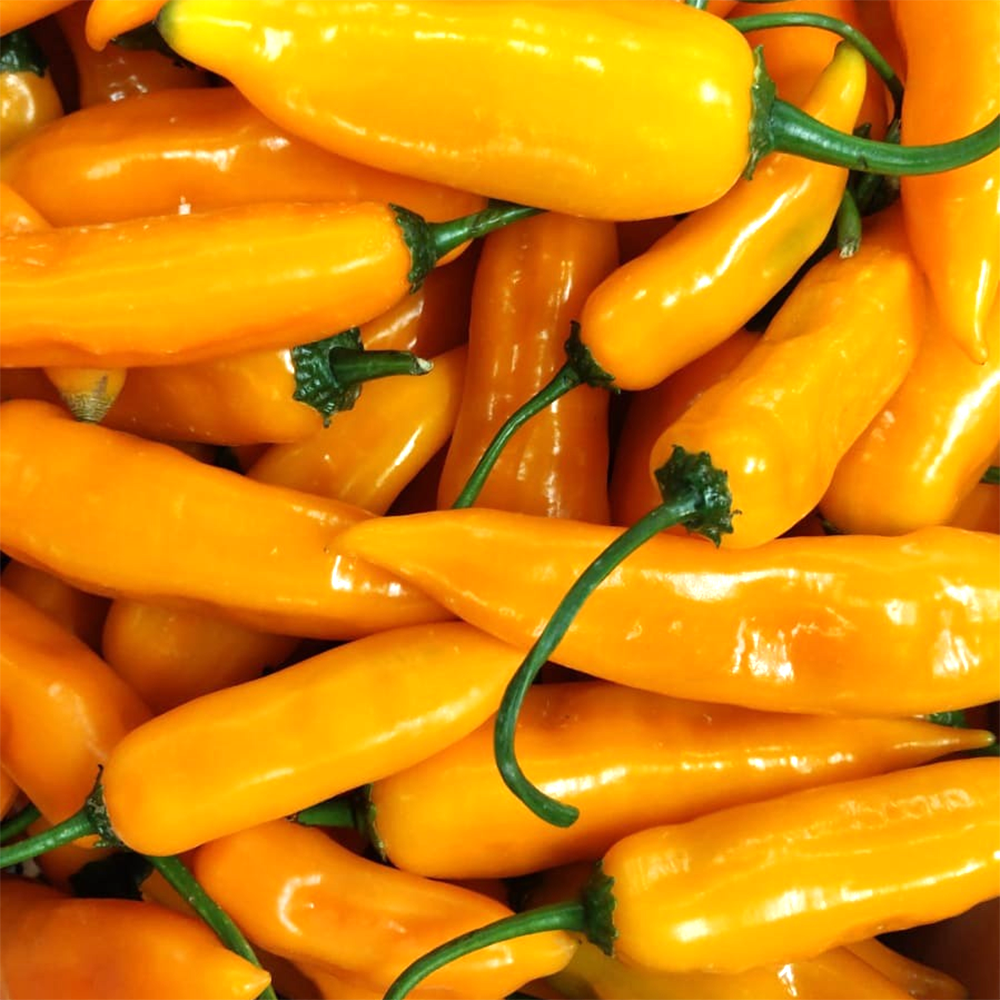 Fresh Aji Amarillo, 200g