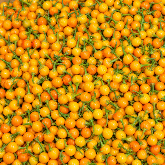 FRISCHE AJI CHARAPITA 35G