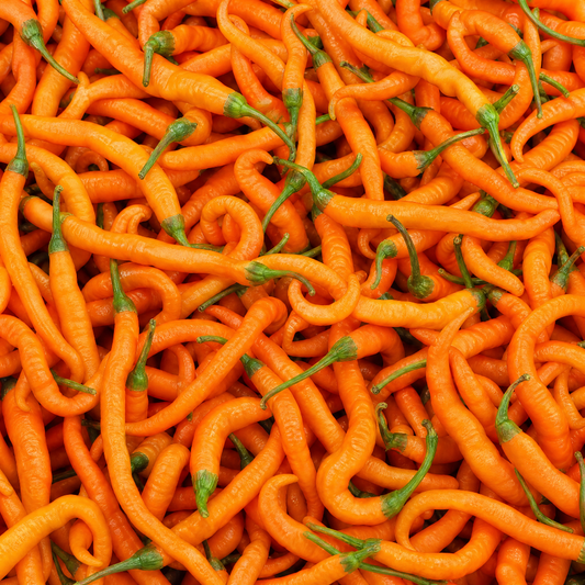 FRISCHE TURUNCU SPIRAL 100G